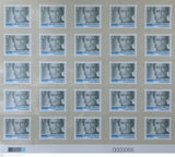 Serie permanente José Gervasio Artigas - Gris 2025