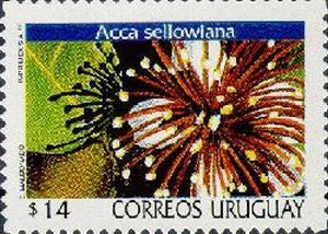 Serie Permanente Flores del Uruguay - Acca Sellowiana - 1999 -