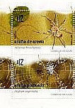Serie - Arañas - 2009 -