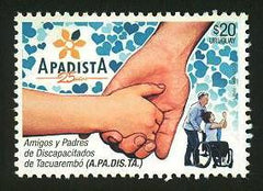 25 Años APADISTA Asoc. de Amigos y Padres de Discapacitados - 2017 -