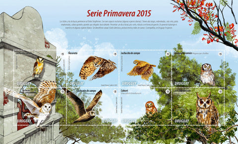 Spring 2015 Set|Serie Primavera 2015