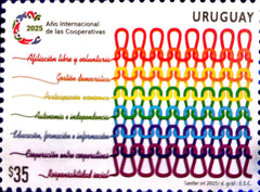2025 - Año Internacional de las Cooperativas - 2025