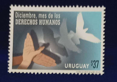 Diciembre, mes de los Derechos Humanos - 2025