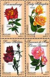 Rosas - 2001 -