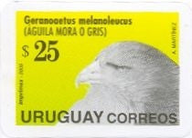 Aguila Mora 2005