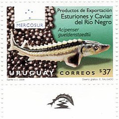 Serie Mercosur - Productos de Exportación - Esturiones y Caviar del Río Negro - 2009 -