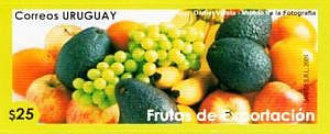 Serie Permanente Agricultura y Alimentación: Frutas de Exportación - 2009 -