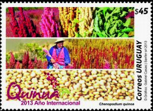 International Year of Quinoa 2013|Año Internacional de la Quinua 2013