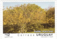 International Year of Forests 2011|Año Internacional de los Bosques 2011