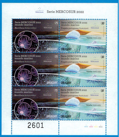Serie Mercosur - Noctilucas, Fragata Portuguesa y Velela