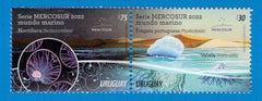 Serie Mercosur - Noctilucas, Fragata Portuguesa y Velela