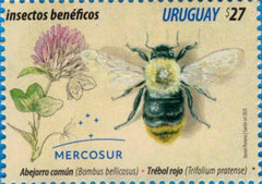 Serie Mercosur - Insectos Benéficos