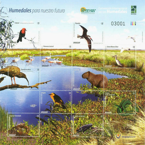 Wetlands for our future|Humedales para Nuestro Futuro - 2015 -