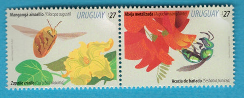 Serie Primavera 2020 - Flores y Polinizadores