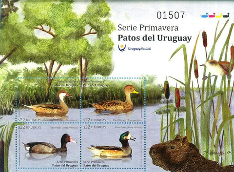 Serie Primavera - Patos del Uruguay - 2018-