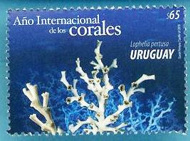 Año Internacional de los Corales - 2018-